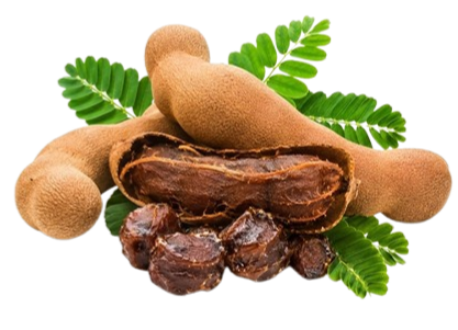 TAMARIND